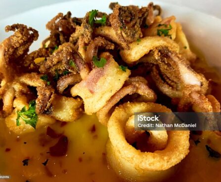 Calamariere