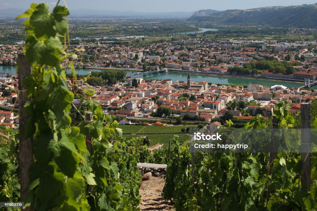 cotes du rhone wine
